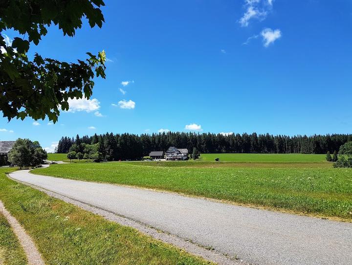 Gasthof Kreuz, Schönwald