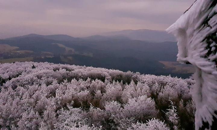 Hochwald Turmbaude Oybin